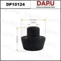 DP10124 — Radiator Mounting
