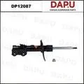 DP12087 — Shock Absorber