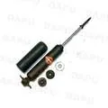 DP12690 — Shock Absorber