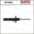 DP12829 — Shock Absorber