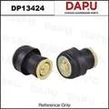 DP13424 — Air Spring